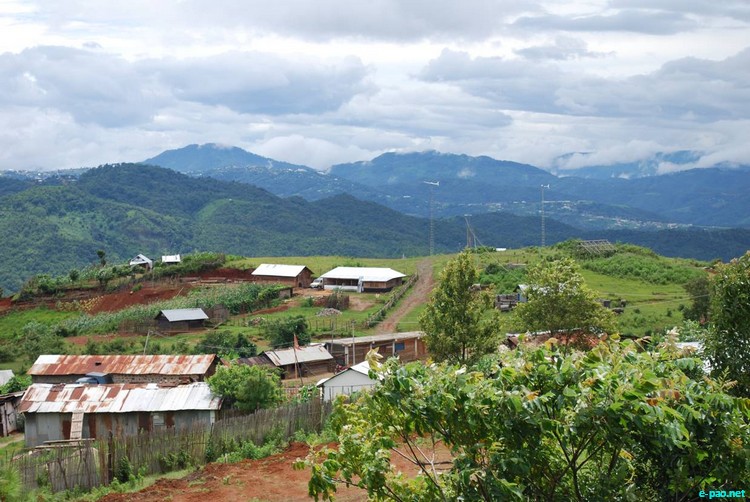 Phangrei, a small village of Ukhrul District , 15 kms frm Siroy  :: 2011