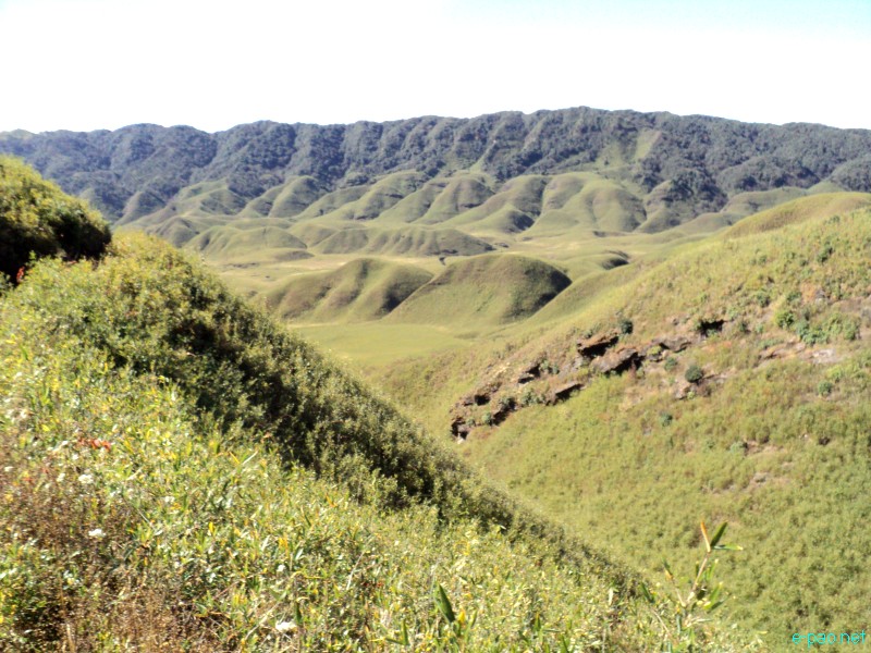 Dzuko Valley trip /  Exploration  during Sangai Tourism Festival 2012 :: November 2012