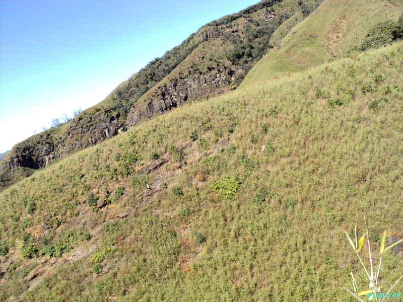 Dzuko Valley trip /  Exploration  during Sangai Tourism Festival 2012 :: November 2012