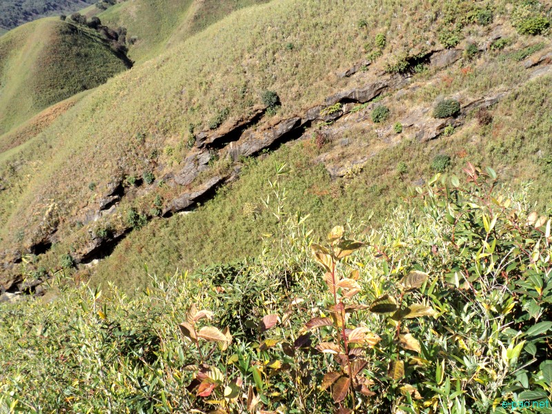 Dzuko Valley trip /  Exploration  during Sangai Tourism Festival 2012 :: November 2012