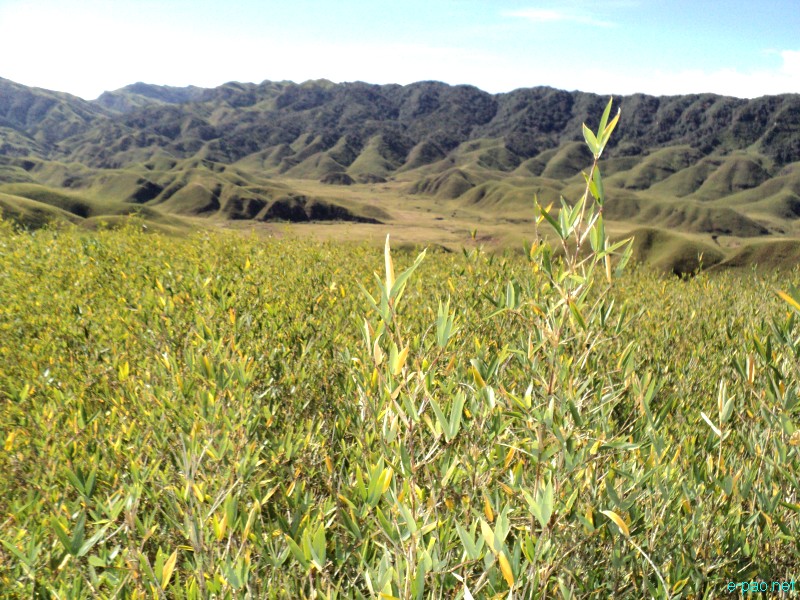 Dzuko Valley trip /  Exploration  during Sangai Tourism Festival 2012 :: November 2012
