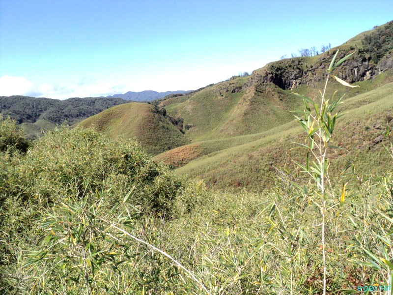 Dzuko Valley trip /  Exploration  during Sangai Tourism Festival 2012 :: November 2012