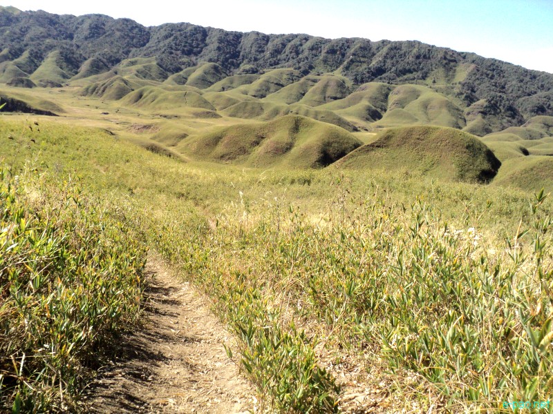 Dzuko Valley trip /  Exploration  during Sangai Tourism Festival 2012 :: November 2012