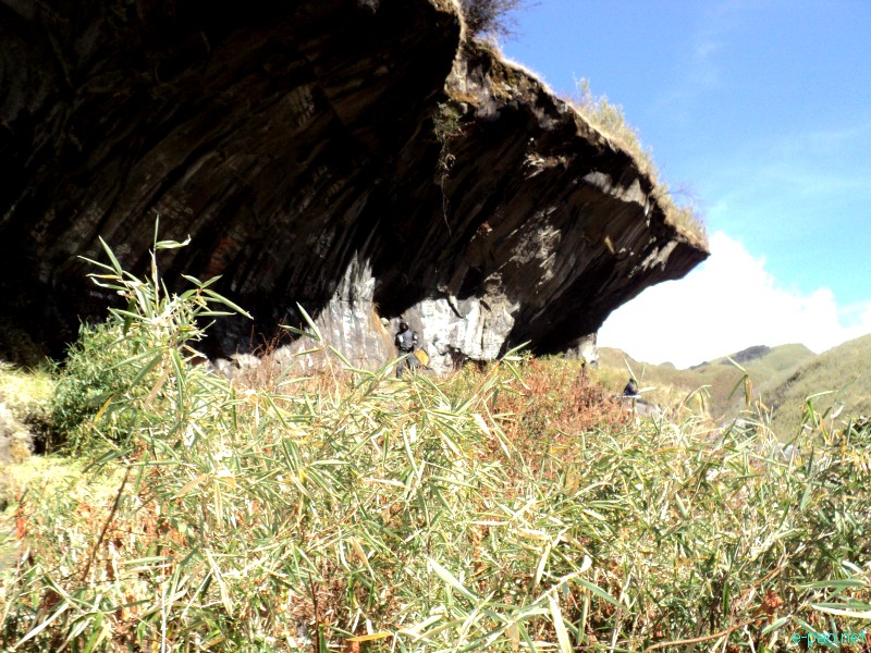 Dzuko Valley trip /  Exploration  during Sangai Tourism Festival 2012 :: November 2012