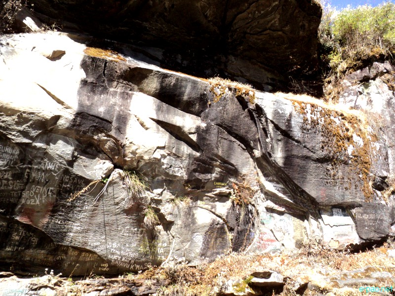 Dzuko Valley trip /  Exploration  during Sangai Tourism Festival 2012 :: November 2012