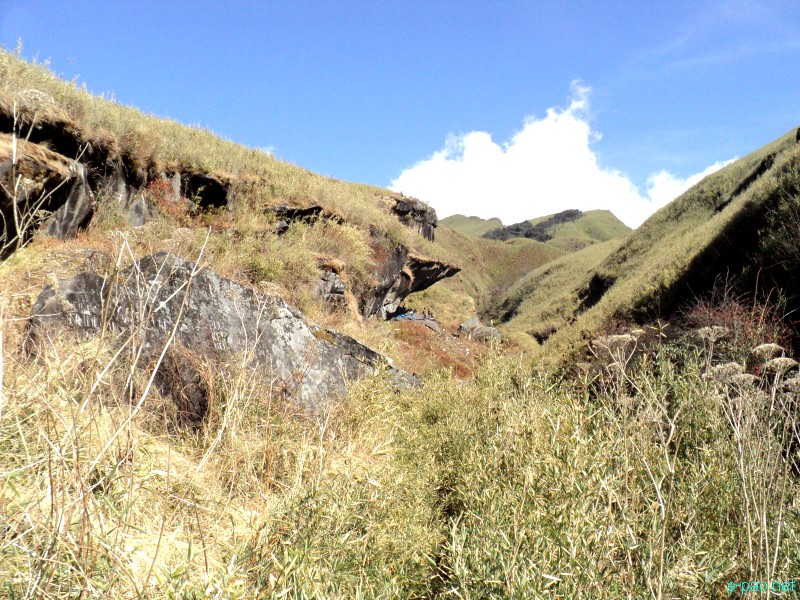 Dzuko Valley trip /  Exploration  during Sangai Tourism Festival 2012 :: November 2012