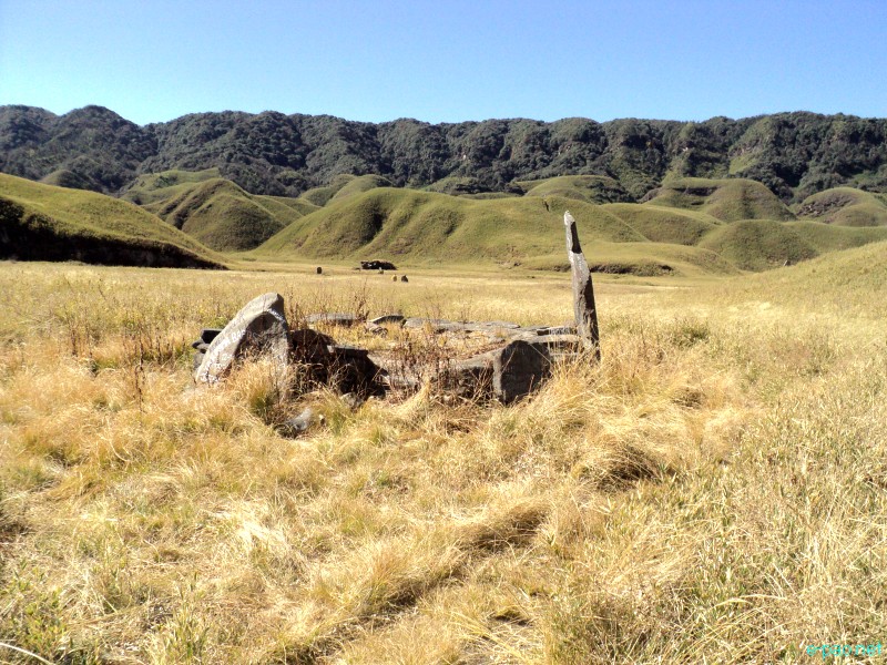 Dzuko Valley trip /  Exploration  during Sangai Tourism Festival 2012 :: November 2012