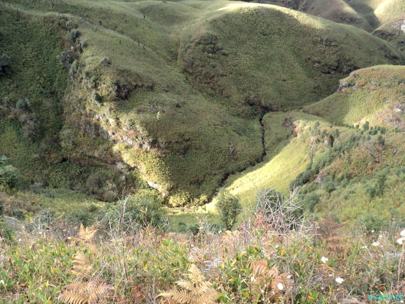Dzuko Valley trip /  Exploration  during Sangai Tourism Festival 2012 :: November 2012