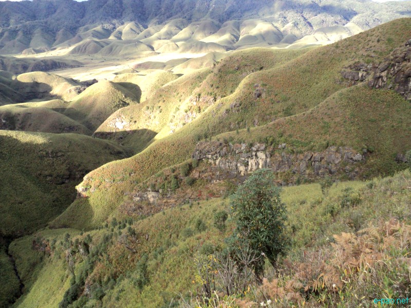 Dzuko Valley trip /  Exploration  during Sangai Tourism Festival 2012 :: November 2012