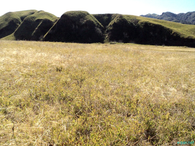 Dzuko Valley trip /  Exploration  during Sangai Tourism Festival 2012 :: November 2012