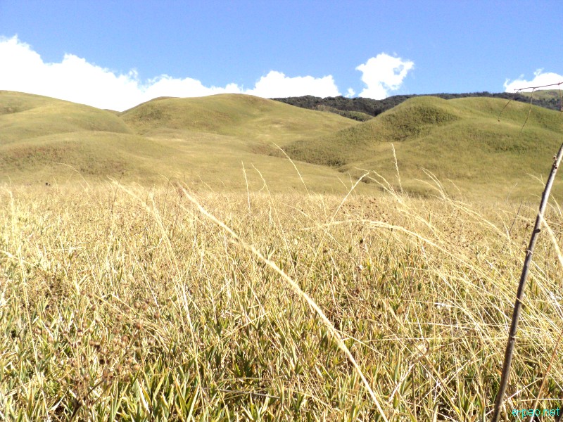 Dzuko Valley trip /  Exploration  during Sangai Tourism Festival 2012 :: November 2012