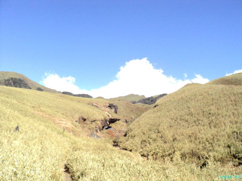 Dzuko Valley trip /  Exploration  during Sangai Tourism Festival 2012 :: November 2012