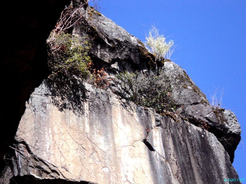 Dzuko Valley trip /  Exploration  during Sangai Tourism Festival 2012 :: November 2012