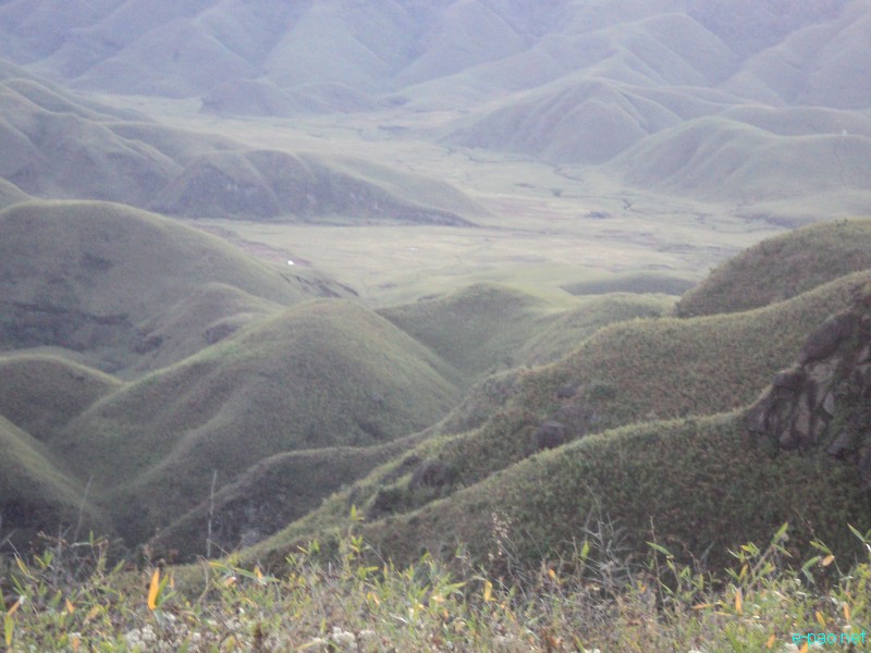 Dzuko Valley trip /  Exploration  during Sangai Tourism Festival 2012 :: November 2012