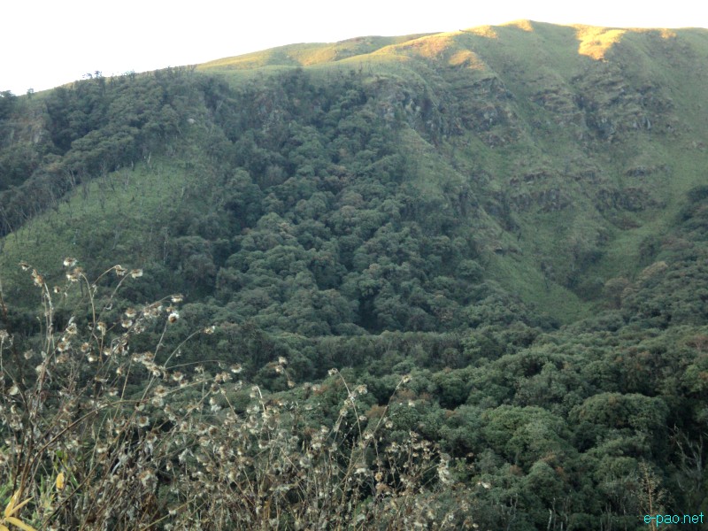 Dzuko Valley trip /  Exploration  during Sangai Tourism Festival 2012 :: November 2012