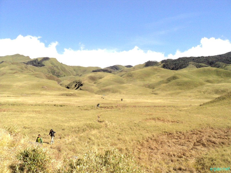 Dzuko Valley trip /  Exploration  during Sangai Tourism Festival 2012 :: November 2012