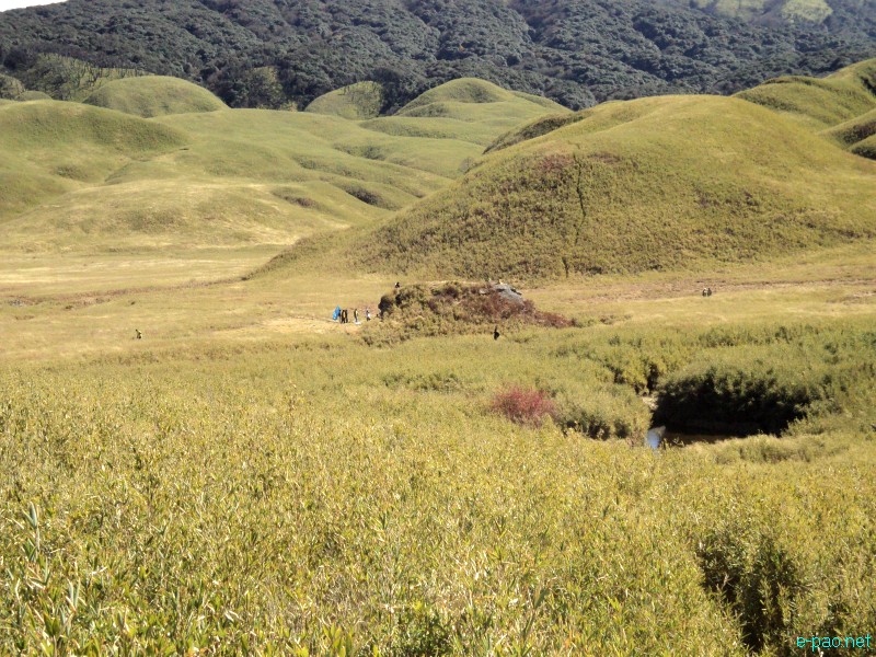 Dzuko Valley trip /  Exploration  during Sangai Tourism Festival 2012 :: November 2012