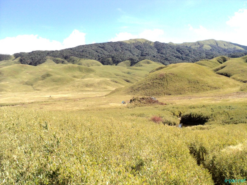 Dzuko Valley trip /  Exploration  during Sangai Tourism Festival 2012 :: November 2012