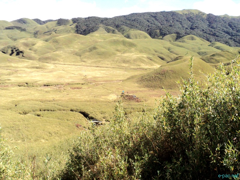 Dzuko Valley trip /  Exploration  during Sangai Tourism Festival 2012 :: November 2012