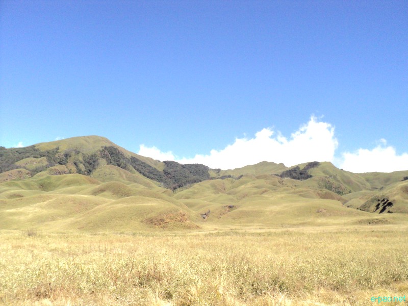 Dzuko Valley trip /  Exploration  during Sangai Tourism Festival 2012 :: November 2012