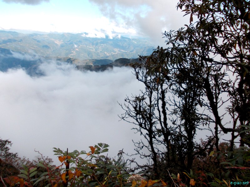Dzuko Valley trip /  Exploration  during Sangai Tourism Festival 2012 :: November 2012