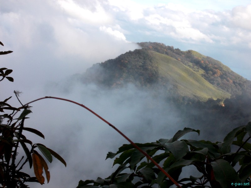 Dzuko Valley trip /  Exploration  during Sangai Tourism Festival 2012 :: November 2012
