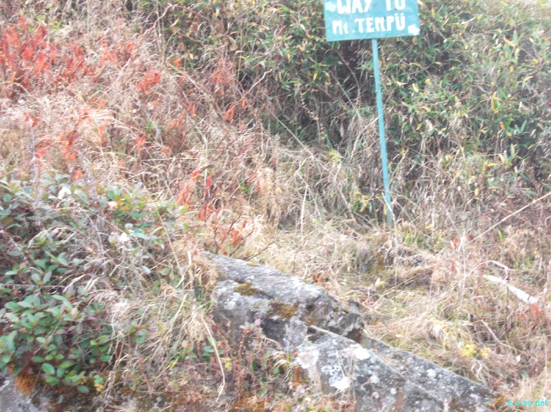 Dzuko Valley trip /  Exploration  during Sangai Tourism Festival 2012 :: November 2012