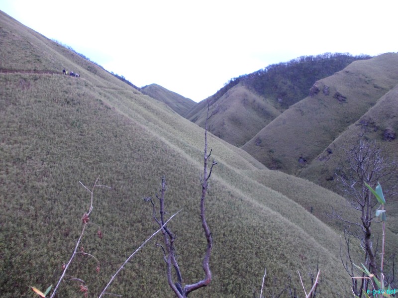 Dzuko Valley trip /  Exploration  during Sangai Tourism Festival 2012 :: November 2012