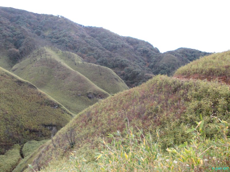 Dzuko Valley trip /  Exploration  during Sangai Tourism Festival 2012 :: November 2012