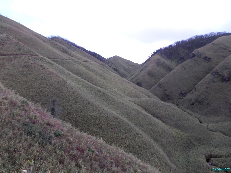 Dzuko Valley trip /  Exploration  during Sangai Tourism Festival 2012 :: November 2012