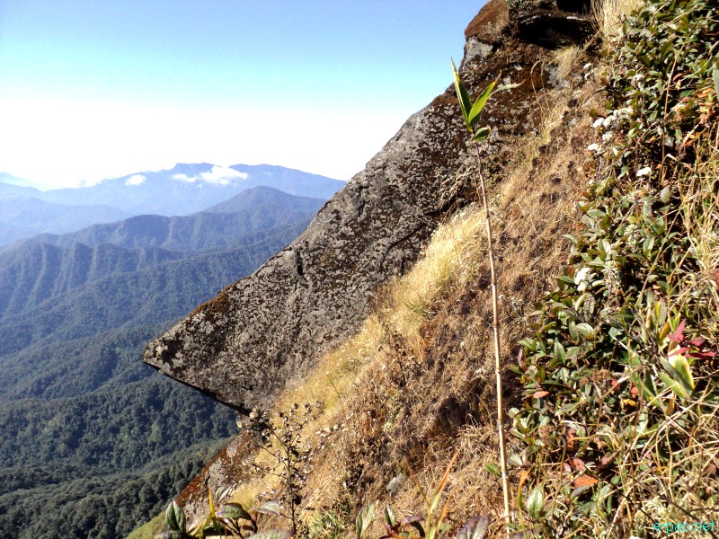 Dzuko Valley trip /  Exploration  during Sangai Tourism Festival 2012 :: November 2012