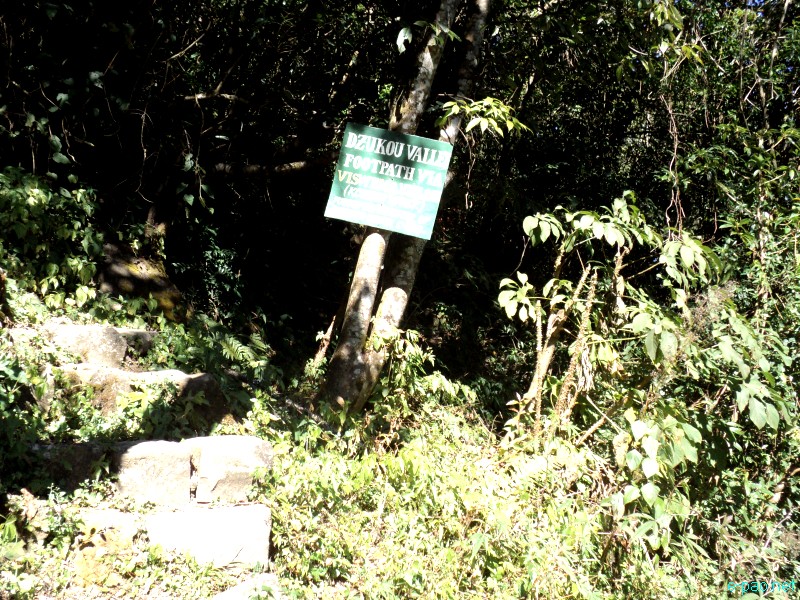 Dzuko Valley trip /  Exploration  during Sangai Tourism Festival 2012 :: November 2012