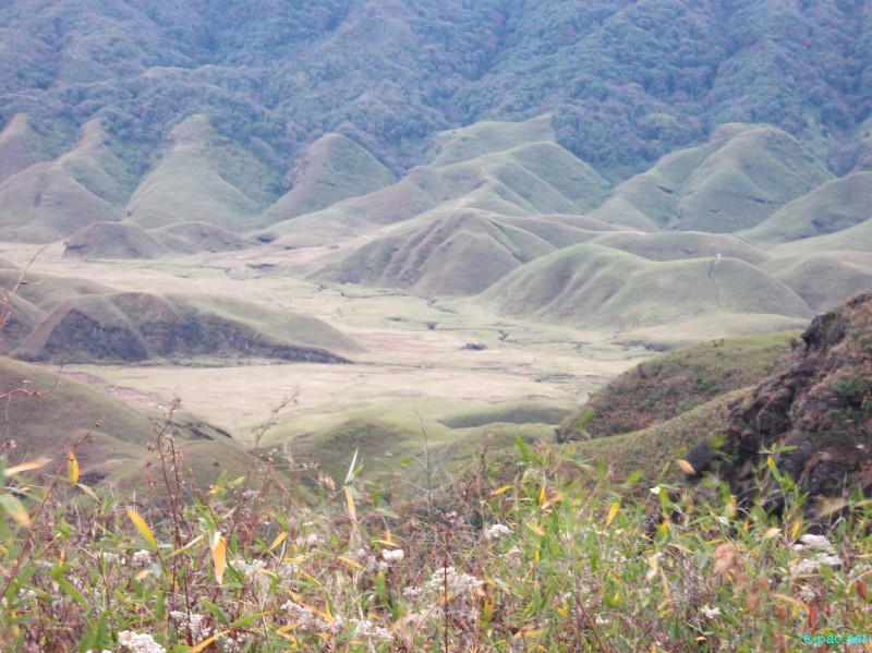 Dzuko Valley trip /  Exploration  during Sangai Tourism Festival 2012 :: November 2012