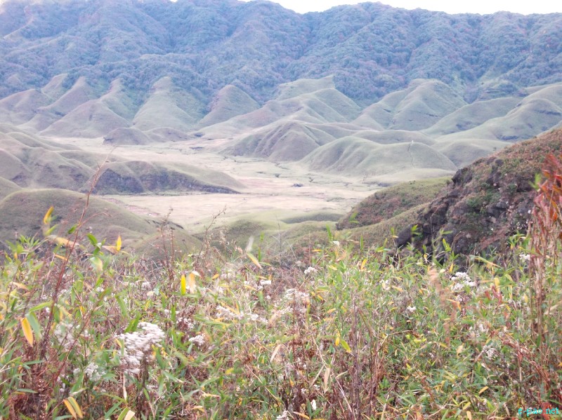 Dzuko Valley trip /  Exploration  during Sangai Tourism Festival 2012 :: November 2012
