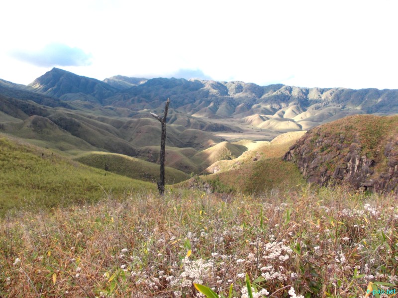 Dzuko Valley trip /  Exploration  during Sangai Tourism Festival 2012 :: November 2012