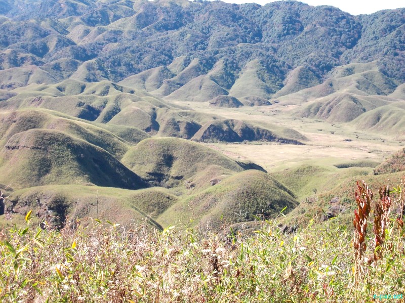 Dzuko Valley trip /  Exploration  during Sangai Tourism Festival 2012 :: November 2012