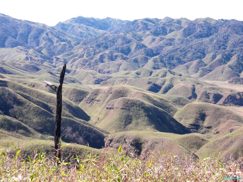 Dzuko Valley trip /  Exploration  during Sangai Tourism Festival 2012 :: November 2012