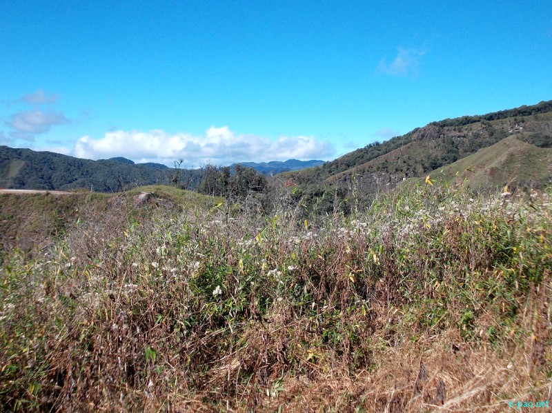 Dzuko Valley trip /  Exploration  during Sangai Tourism Festival 2012 :: November 2012