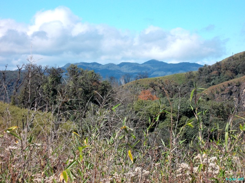 Dzuko Valley trip /  Exploration  during Sangai Tourism Festival 2012 :: November 2012