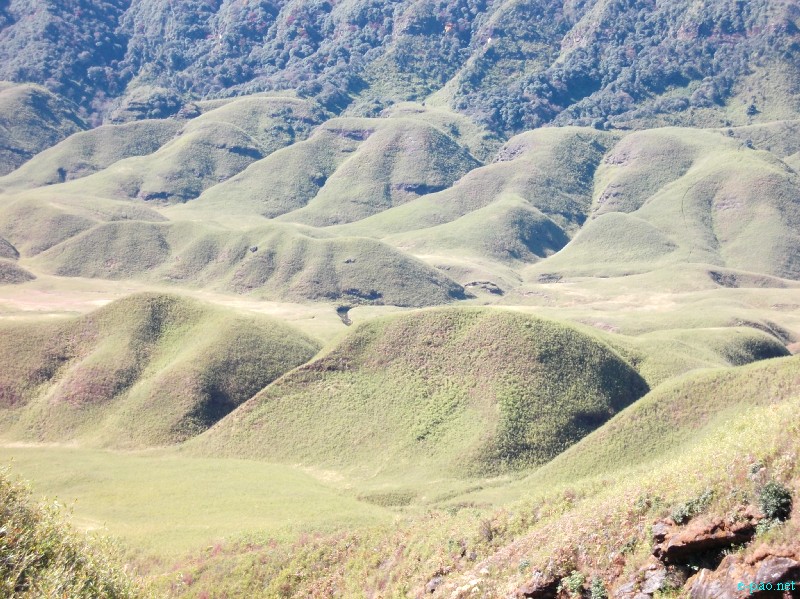 Dzuko Valley trip /  Exploration  during Sangai Tourism Festival 2012 :: November 2012