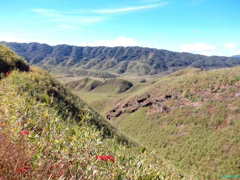 Dzuko Valley trip /  Exploration  during Sangai Tourism Festival 2012 :: November 2012