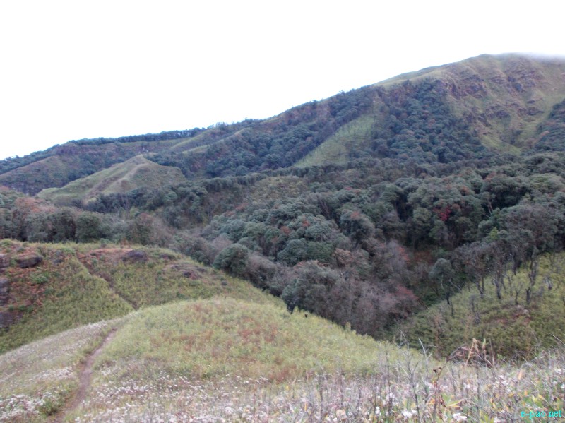 Dzuko Valley trip /  Exploration  during Sangai Tourism Festival 2012 :: November 2012