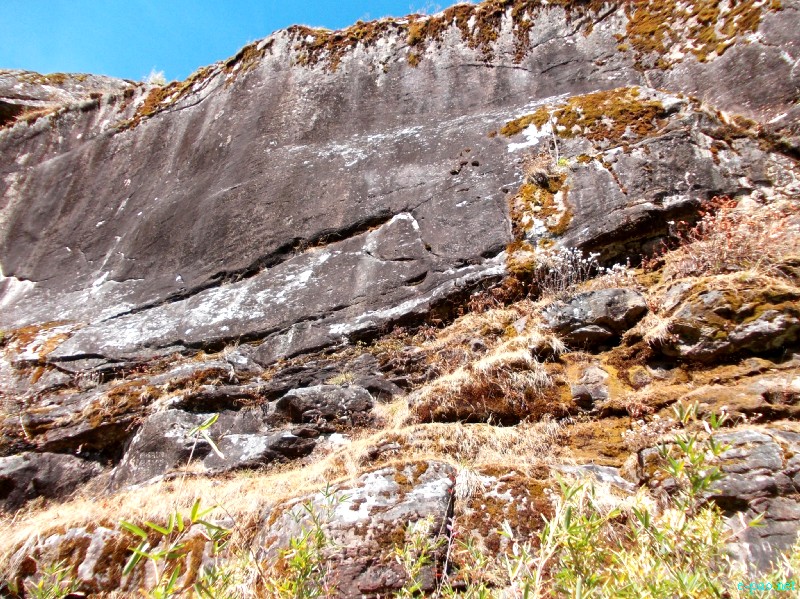 Dzuko Valley trip /  Exploration  during Sangai Tourism Festival 2012 :: November 2012
