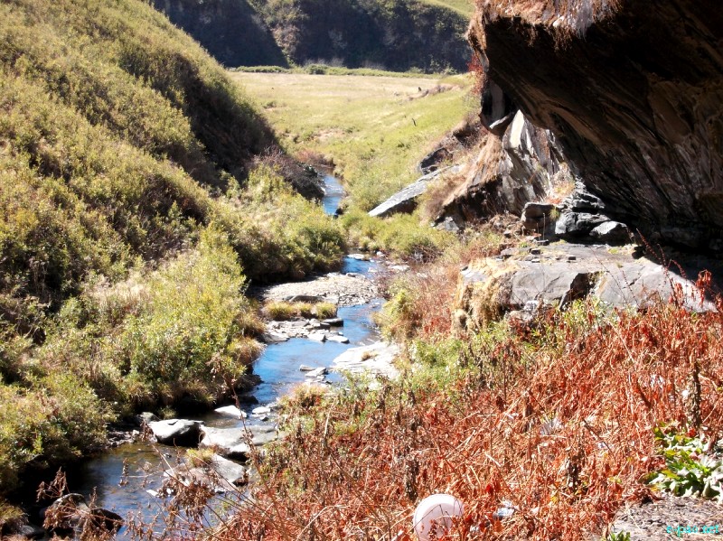 Dzuko Valley trip /  Exploration  during Sangai Tourism Festival 2012 :: November 2012