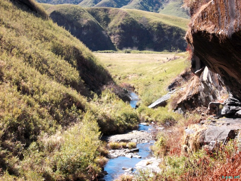 Dzuko Valley trip /  Exploration  during Sangai Tourism Festival 2012 :: November 2012