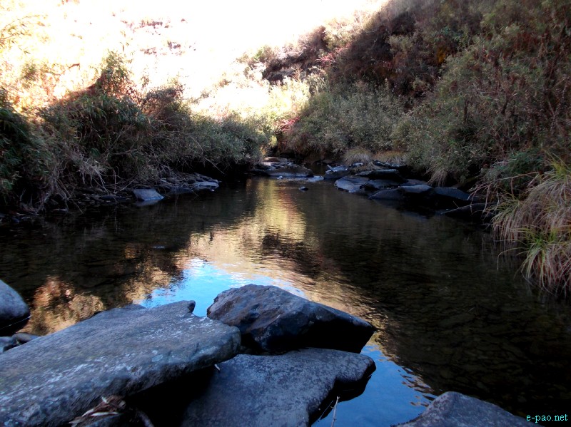 Dzuko Valley trip /  Exploration  during Sangai Tourism Festival 2012 :: November 2012