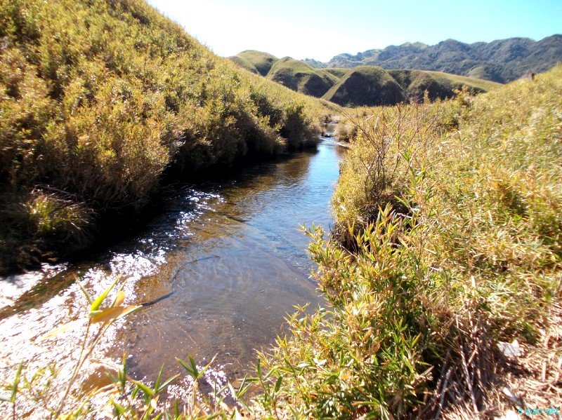 Dzuko Valley trip /  Exploration  during Sangai Tourism Festival 2012 :: November 2012