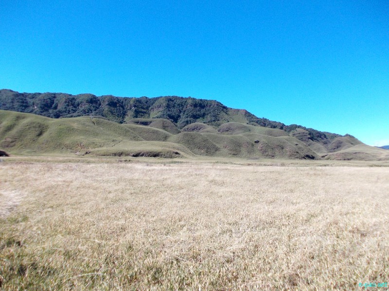 Dzuko Valley trip /  Exploration  during Sangai Tourism Festival 2012 :: November 2012