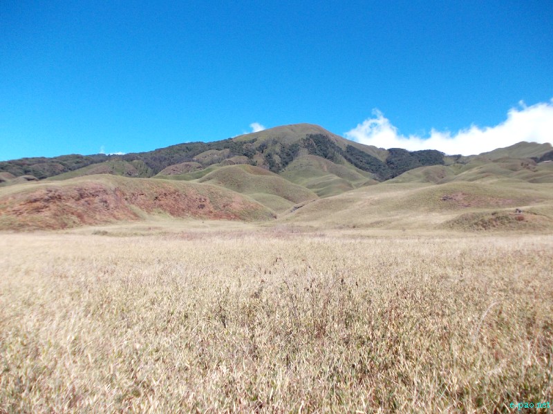 Dzuko Valley trip /  Exploration  during Sangai Tourism Festival 2012 :: November 2012