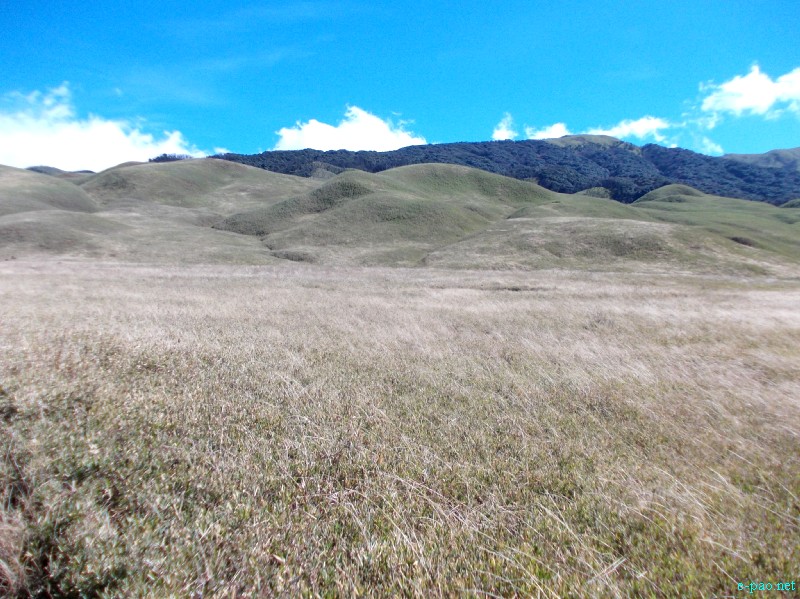 Dzuko Valley trip /  Exploration  during Sangai Tourism Festival 2012 :: November 2012